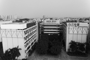 DDpay钱包(China)官网