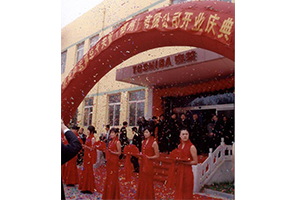 DDpay钱包(China)官网